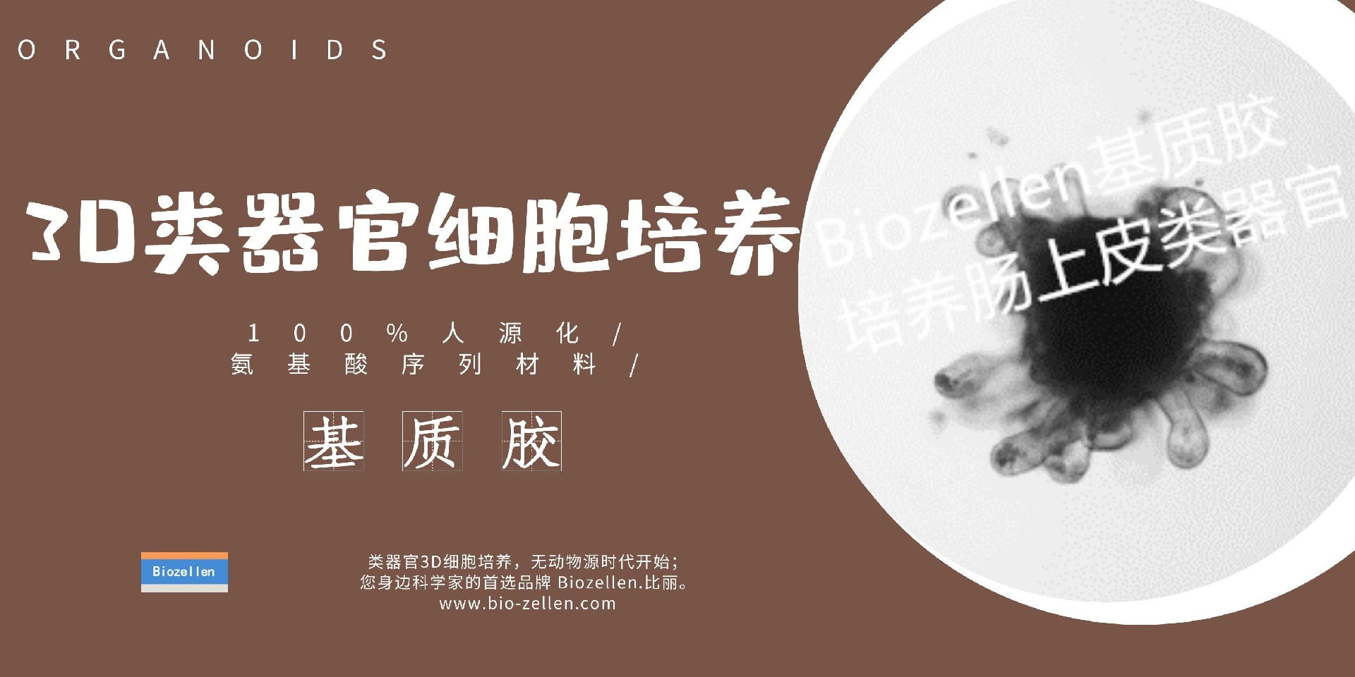 1643012954207683.jpg 2-1 Biozellen®3D类器官培养基质胶套装.jpg